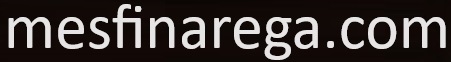mesfinarega.com